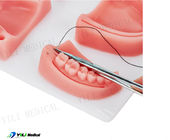 Pad pratico di sutura per ferite per l'educazione dentale
